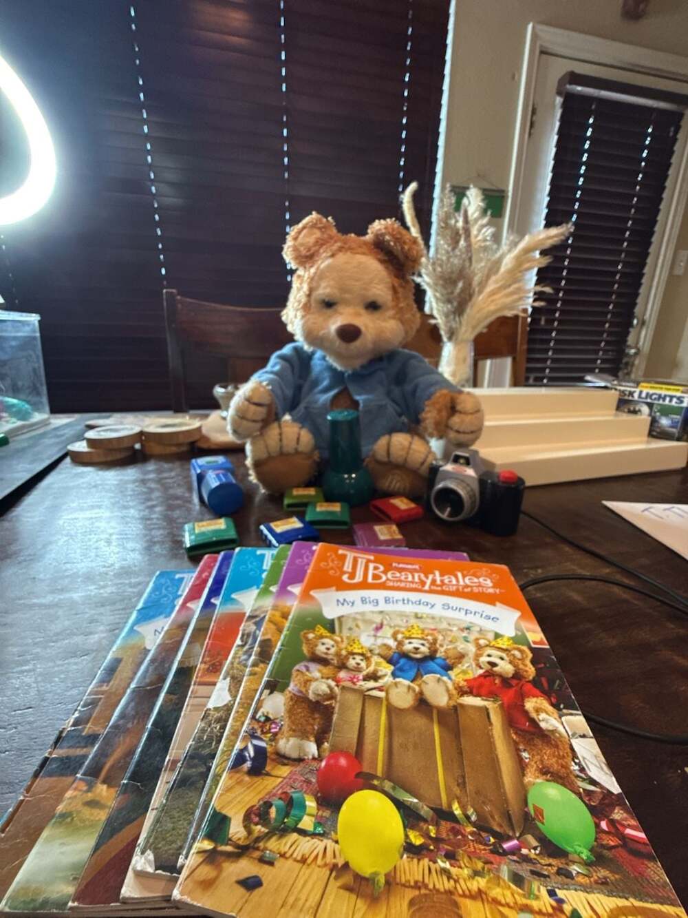 Playskool TJ Bearytales Interactive Storytelling Bear wAccessories, Books(7),  C